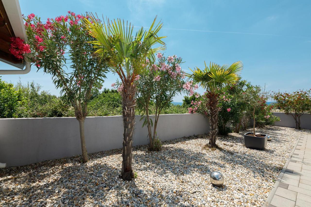 Malo Ferienvilla Privlaka, Pool, Boje, Wi-Fi, Wallbox Privlaka  Extérieur photo